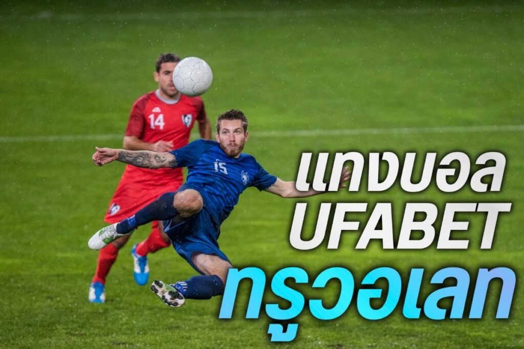 แทงบอลufabet ทรูวอเลท